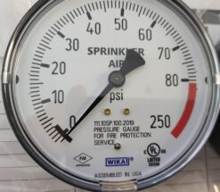 Wika 111.10SP Bourdon - Tube Pressure gauge 250 PSI