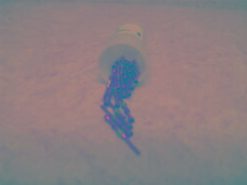 RM20M12D28 Crimp Pin Contacts - Lot of 50