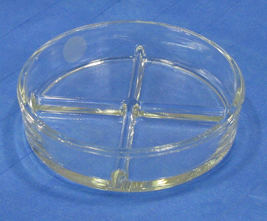 Quadrant Petri Dish Bottom 88 mm x 16 mm Lab Accessories BMI Surplus