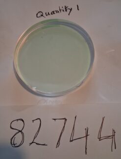 75mm fused silica window AR coated
