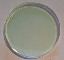 Large Precision N-BK7 Optical Window 75mm Diameter