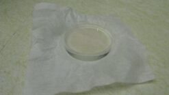 Disk, Flat/Parallel Window