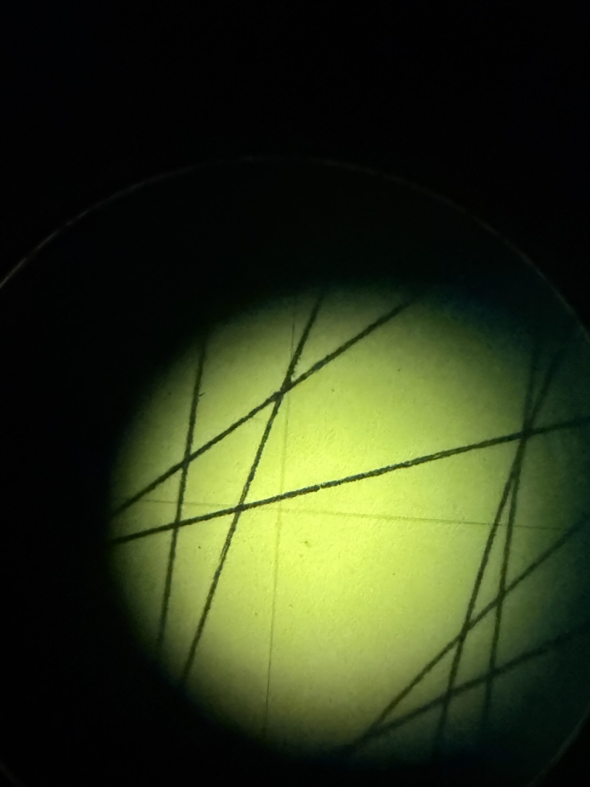 Olympus SZ-III stereo microscope - Image 4